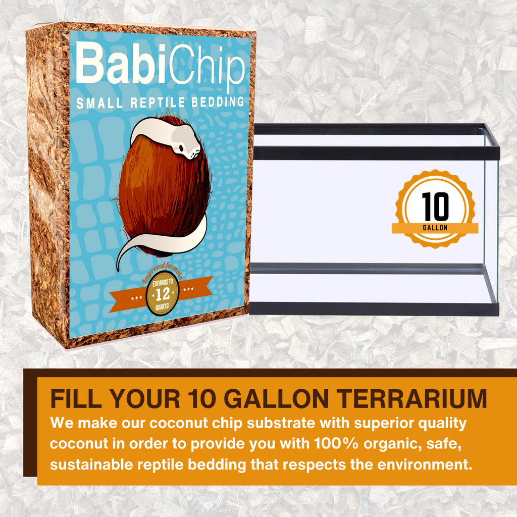 BabiChip Premium Small Sized Coconut Chips; Ready to Use