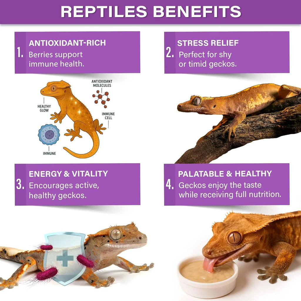 Gargeer 'Picky Geck' Wildberry Burst - Premium Crested Gecko Food | Antioxidant & Immune Support Formula