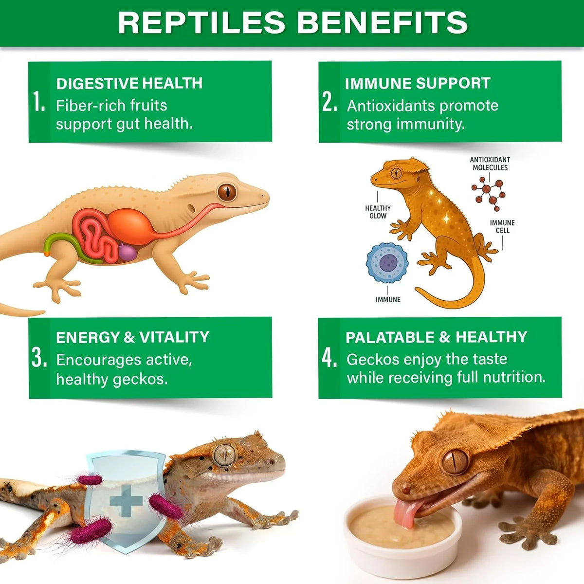 Gargeer 'Picky Geck' Rainforest Mist - Premium Crested Gecko Food | Immune & Digestion Support