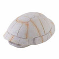 Exo Terra Turtle Shell Reptile Hideout Natural Decor