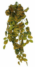 Pangea Japanese Laurel Hanging Bush 24"